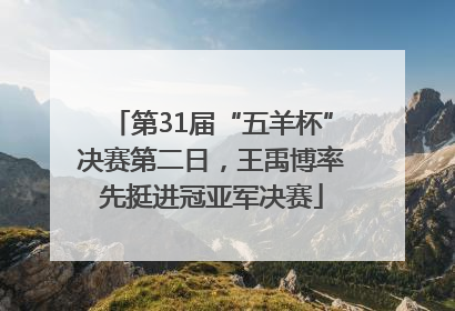 第31届“五羊杯”决赛第二日，王禹博率先挺进冠亚军决赛
