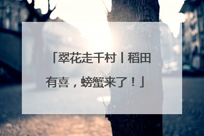 翠花走千村丨稻田有喜，螃蟹来了！