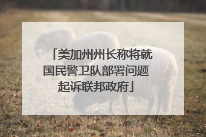 美加州州长称将就国民警卫队部署问题起诉联邦政府