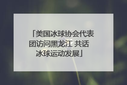 美国冰球协会代表团访问黑龙江 共话冰球运动发展