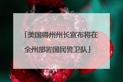 美国得州州长宣布将在全州部署国民警卫队