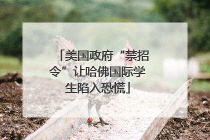 美国政府“禁招令”让哈佛国际学生陷入恐慌