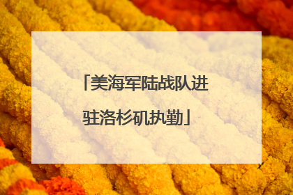 美海军陆战队进驻洛杉矶执勤