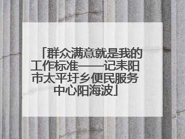 群众满意就是我的工作标准——记耒阳市太平圩乡便民服务中心阳海波