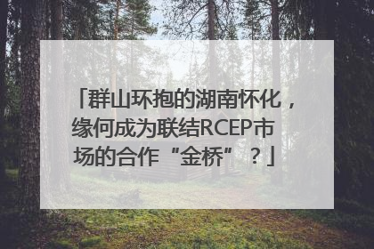 群山环抱的湖南怀化，缘何成为联结RCEP市场的合作“金桥”？