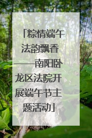 粽情端午 法韵飘香——南阳卧龙区法院开展端午节主题活动