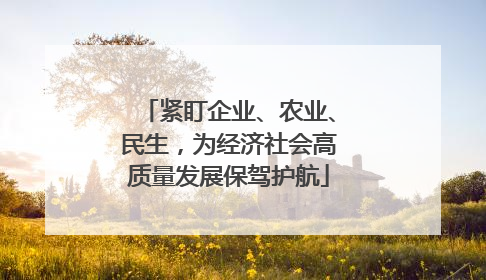 紧盯企业、农业、民生，为经济社会高质量发展保驾护航