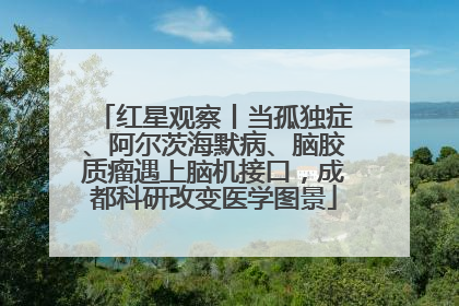 红星观察丨当孤独症、阿尔茨海默病、脑胶质瘤遇上脑机接口，成都科研改变医学图景