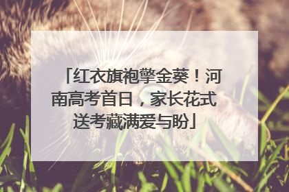 红衣旗袍擎金葵！河南高考首日，家长花式送考藏满爱与盼