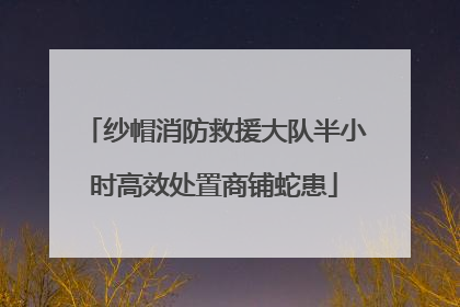纱帽消防救援大队半小时高效处置商铺蛇患