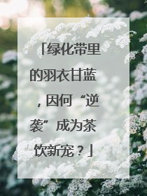 绿化带里的羽衣甘蓝，因何“逆袭”成为茶饮新宠？