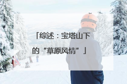 综述：宝塔山下的“草原风情”