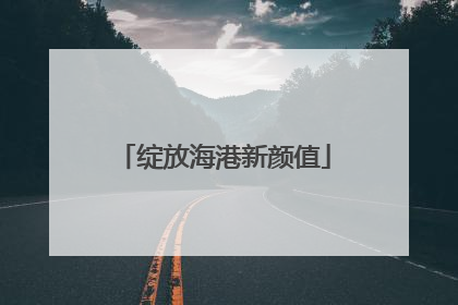 绽放海港新颜值