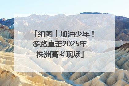组图丨加油少年！多路直击2025年株洲高考现场