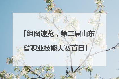 组图速览，第二届山东省职业技能大赛首日