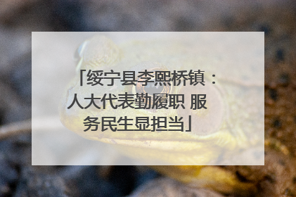 绥宁县李熙桥镇：人大代表勤履职 服务民生显担当