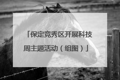 保定竞秀区开展科技周主题活动（组图）