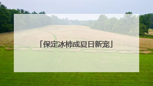 保定冰柿成夏日新宠