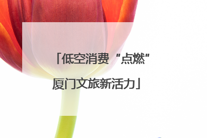 低空消费“点燃”厦门文旅新活力