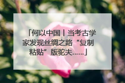 何以中国丨当考古学家发现丝绸之路“复制粘贴”版驼夫……