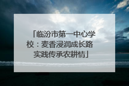 临汾市第一中心学校：麦香浸润成长路 实践传承农耕情