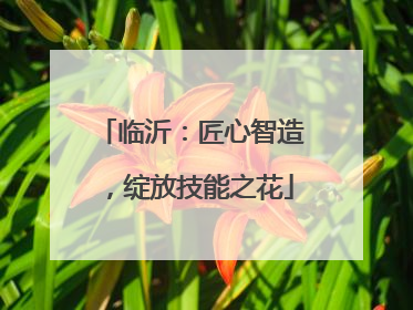 临沂：匠心智造，绽放技能之花
