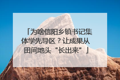 为啥信阳乡镇书记集体学先导区？让成果从田间地头“长出来”