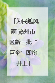为民遮风雨 漳州市区新一批“巨伞”即将开工