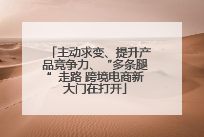 主动求变、提升产品竞争力、“多条腿”走路 跨境电商新大门在打开