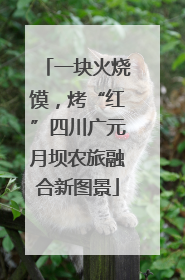 一块火烧馍，烤“红”四川广元月坝农旅融合新图景