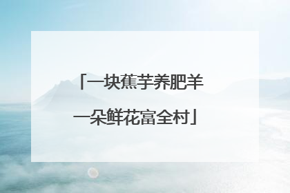 一块蕉芋养肥羊 一朵鲜花富全村