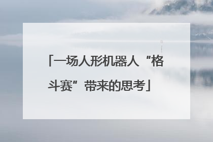 一场人形机器人“格斗赛”带来的思考