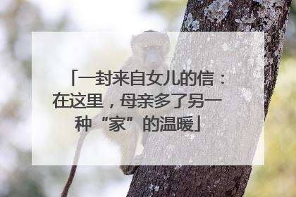 一封来自女儿的信：在这里，母亲多了另一种“家”的温暖