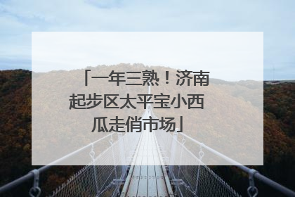 一年三熟！济南起步区太平宝小西瓜走俏市场