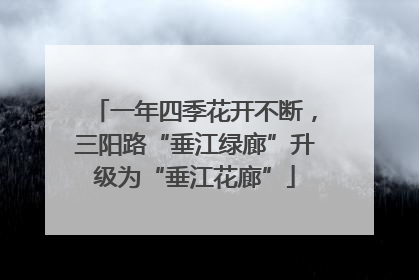 一年四季花开不断，三阳路“垂江绿廊”升级为“垂江花廊”