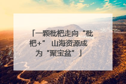 一颗枇杷走向“枇杷+” 山海资源成为“聚宝盆”