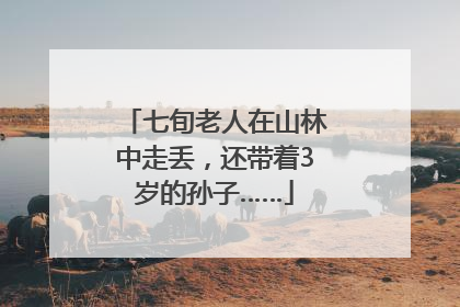 七旬老人在山林中走丢，还带着3岁的孙子……