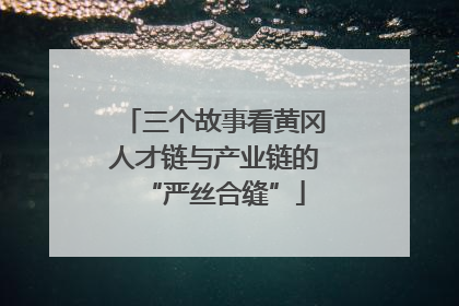 三个故事看黄冈人才链与产业链的“严丝合缝”