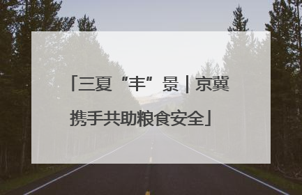 三夏“丰”景｜京冀携手共助粮食安全