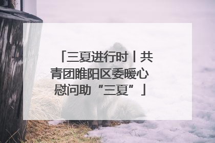 三夏进行时丨共青团睢阳区委暖心慰问助“三夏”