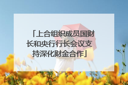 上合组织成员国财长和央行行长会议支持深化财金合作