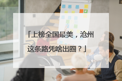 上榜全国最美，沧州这条路凭啥出圈？