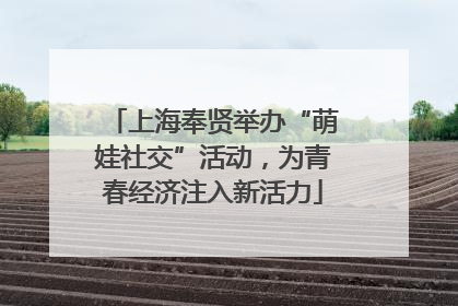上海奉贤举办“萌娃社交”活动，为青春经济注入新活力
