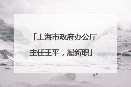 上海市政府办公厅主任王平，履新职