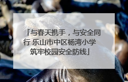 与春天携手，与安全同行 乐山市中区杨湾小学筑牢校园安全防线