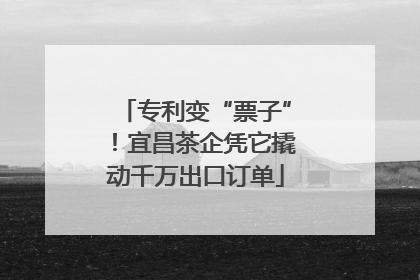 专利变“票子”！宜昌茶企凭它撬动千万出口订单