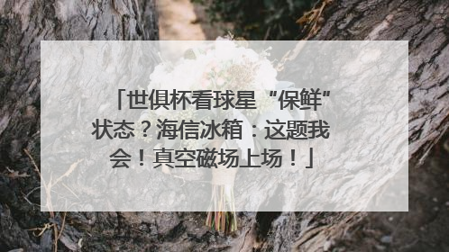 世俱杯看球星“保鲜”状态？海信冰箱：这题我会！真空磁场上场！
