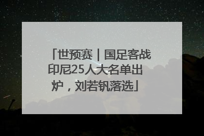 世预赛｜国足客战印尼25人大名单出炉，刘若钒落选