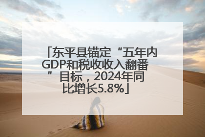东平县锚定“五年内GDP和税收收入翻番”目标，2024年同比增长5.8%