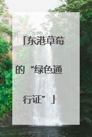 东港草莓的“绿色通行证”